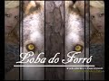 Loba do Forró - Swing da Loba