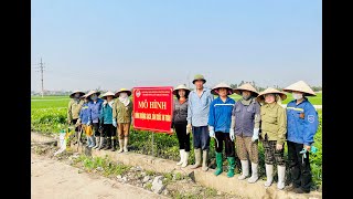 Hội Nông dân phường Phương Đông ra mắt mô hình “Đồng ruộng sạch, sản xuất an toàn”