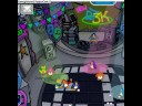 This is me having fun at the night club not that fun I justed view penguins and stuff