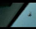 Parkour - chase armitage vision Parkour - chase armitage vision