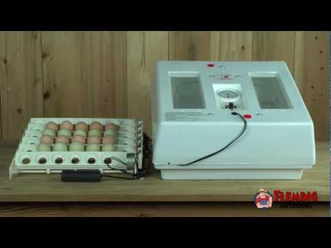 DIY Egg Turner for Incubator