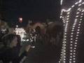 Lichtjesparade Slagharen