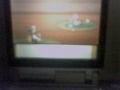 Shiny Shellos (west) with pokeradar