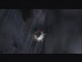 Devil May Cry Combo Video Devil May Cry Combo Video