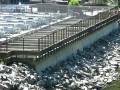 Capilany Canyon Hike - North Vancouver, BC, Canada - Fish Hatchery