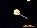 pen spinning
