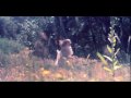 Memoryhouse - "Bonfire" Memoryhouse - "Bonfire"