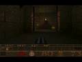 videos de first quake experience