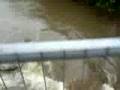 videos de River Taff at full flow