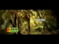 Lal gagra.mp4 (from 6)