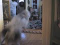 Gentry Jumping some more and some bloopers