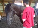 Troy and Spirit