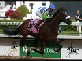 Barbaro