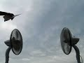Curioso efecto de un avión de papel