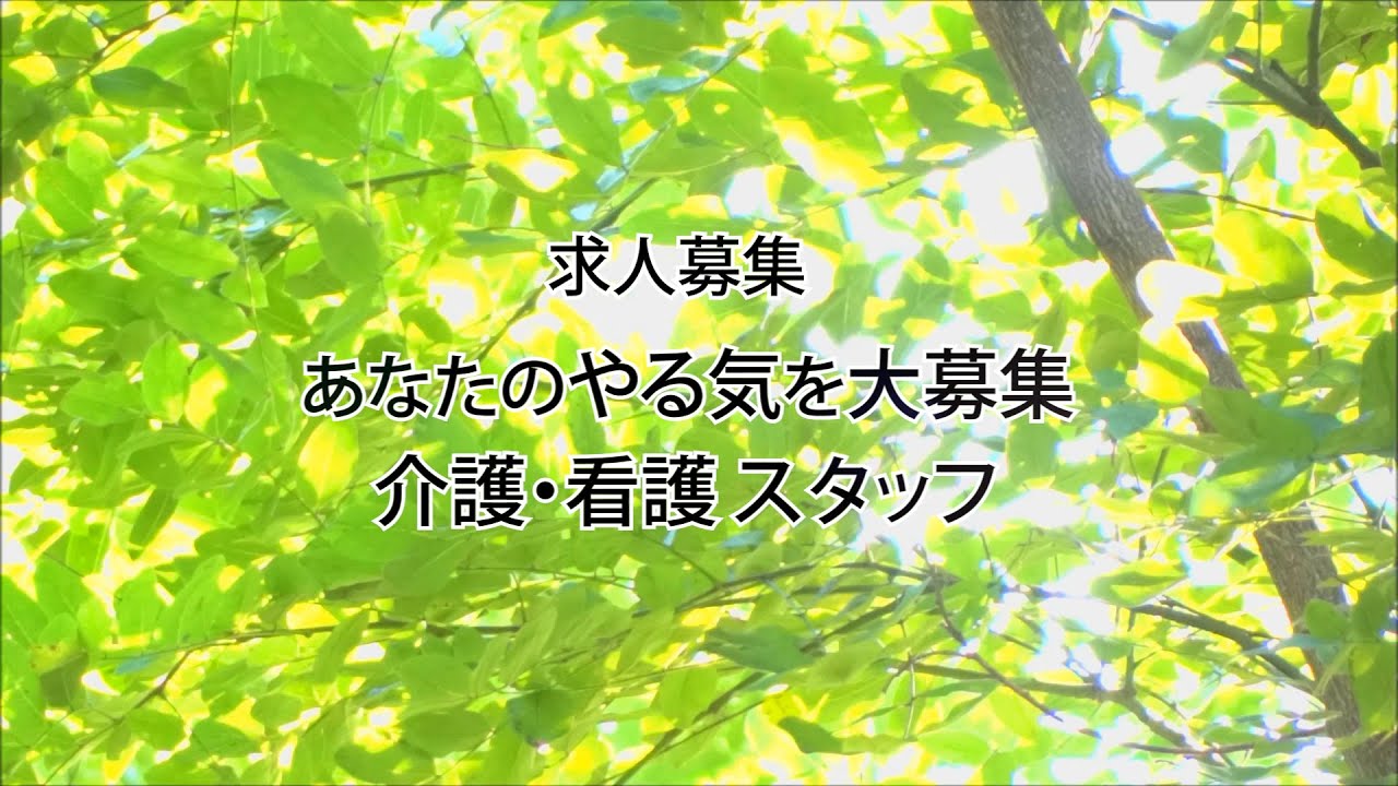 MOVIE 動画で見る