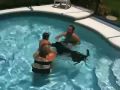 videos de Taavt family