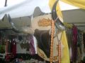 San Pablo de Leon... Ver video