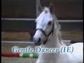 **Cavalli e Poni in.. Salto Ostacoli!!** **Cavalli e Poni in.. Salto Ostacoli!!**