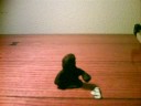 Recyclaymation (claymation)