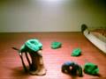 videos de Recyclaymation (claymation)