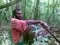 Wild bore hunting story, Nakavika, Fiji
