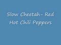 Slow Cheetah-RHCP w/lyrics!
