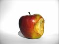manzana en descomposicion