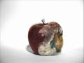 manzana en descomposicion