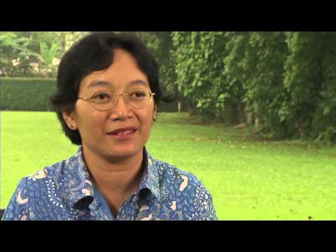 CIFOR -