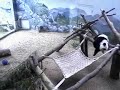 Mei Lan Having Fun Mei Lan Having Fun