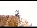 Sports Bloopers Comedy - Iraqi Olympic Diving Trials