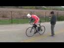 Animal Commencal Living in America Animal Commencal Living in America