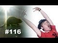 Это бобёр! ^v^ [This is beaver!] | Просмотры: 1,817,607