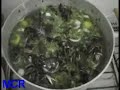 Carangueijada na panela