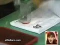 Funcionaria Japonesa