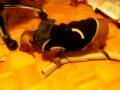 Luke plays with paper roll