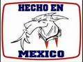 pelygro _mexsidah ridah