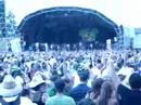 raggamuffin-rotorua-arrested-development-and-us-lol.html