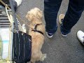 20071111?????(10/11)