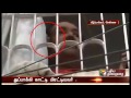 The Guy Who Has Threatened With Gun Is Arrested In Chennai