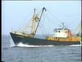 8 belgische vissersvaartuigen op zee. 8 belgische vissersvaartuigen op zee.