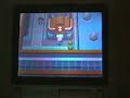 cette semaine fut d�cid�ment des plus fructueuse.

ce soir juste apr�s surnatural sur m6 , brasou vanait me parler, comme cela faisait pas mal de temps que je ne l'avais pas vue, je remarquais qu'elle avait obtenue son rayquaza shiny pendant ma nuit � nantes. un peu d��ue de n'avoir pu assist� � cet �v�nement en direct elle me consola avec une vid�o.^^ je lui parlais alors de mes recherches infructueuses, puis d'un oeuf de manaphy que ma meilleur amie m'avait offert la derni�re fois que je l'ai vue... mais plus grave, je ne reverrai plus jamais cette amie car elle va fuguer en allemagne, son beau p�re l'a foutue � porte et elle ne reviendra pas en france... cet oeuf est par cons�quent son cadeau d'adieu et m'a dit qu'elle l'avait fait �clore apr�s l'avoir transf�r� de ranger et n'avais pas sauvegard� pr�f�rant m'en faire cadeau et que j'aurai la surprise... sans m'en dire plus... je confiais � brasou que j'avais peur de ce qu'elle entendait par surprise et que j'avais peur d'ouvrir cet oeuf, je lui racontais pourquoi et ce que cet ami repr�sentait � mes yeux, peur qu'elle m'ai fait un cadeau presque trop beau... alors que je ne suis pas fichue de lui rendre la pareille maintenant qu'elle est dans la mouise totale... bref, brasou accepte de le faire �clore avec moi, j'allume la cam�ra pour filmer au cas o� un miracle se produirait, un espoir fou, c'est peut-�tre juste une bonne nature, de bon iv ou juste une nature personnalis�e. je mets aussi la cam sur msn pour brasou, je prends l'oeuf et je marches sur la route 222, bord de mer... quand soudain le hein????! apparait, que de tention... brasou me dit allez vas-y, j'appuie donc sur le bouton... la magnifique cin�matique de l'�closion de manaphy se d�roule, je ne regarde pas la ds je regardes sur la conversation, trop nerveuse, j'ai le coeur qui bat � tout rompre, manaphy apparait, je ne suis pas s�re de la couleur au premier abord, je regarde alors tr�s nerveusement la ds... bleu vert, je reste muette, pour ne r�veiller personne dans la maison, me mordan la langue dans la foul�e, puis je crie sur msn, nous sommes toutes les deux sous le choc, le prince des mer est n�� shiny... ma meilleur amie m'a laiss� un cadeau � la hauteur de nos sentiments respectifs entre une soeur et une m�re, je lui dois d�j� d'�tre encore en vie et elle m'offre un cadeau d'adieu tr�s pr�cieux.