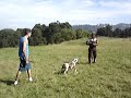 Guarda e Prote��o Patrim�nial   -parte 2  n�vel avan�ado.