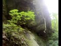 river with a little waterfalls