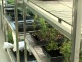 Solar Powered 1000W Electric Bike and Algae
