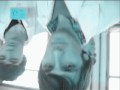 Video screenshot