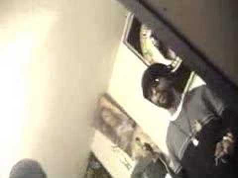 Reggae artist ZEBULUN== Preview