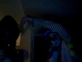 TheClickFive11's webcam recorded Video - October 30, 2009, 03:01 PM