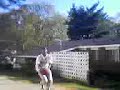 Slamma Jamma Slamma Jamma