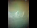 mirAcLe  of our lifE